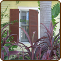 exterior shutters colors